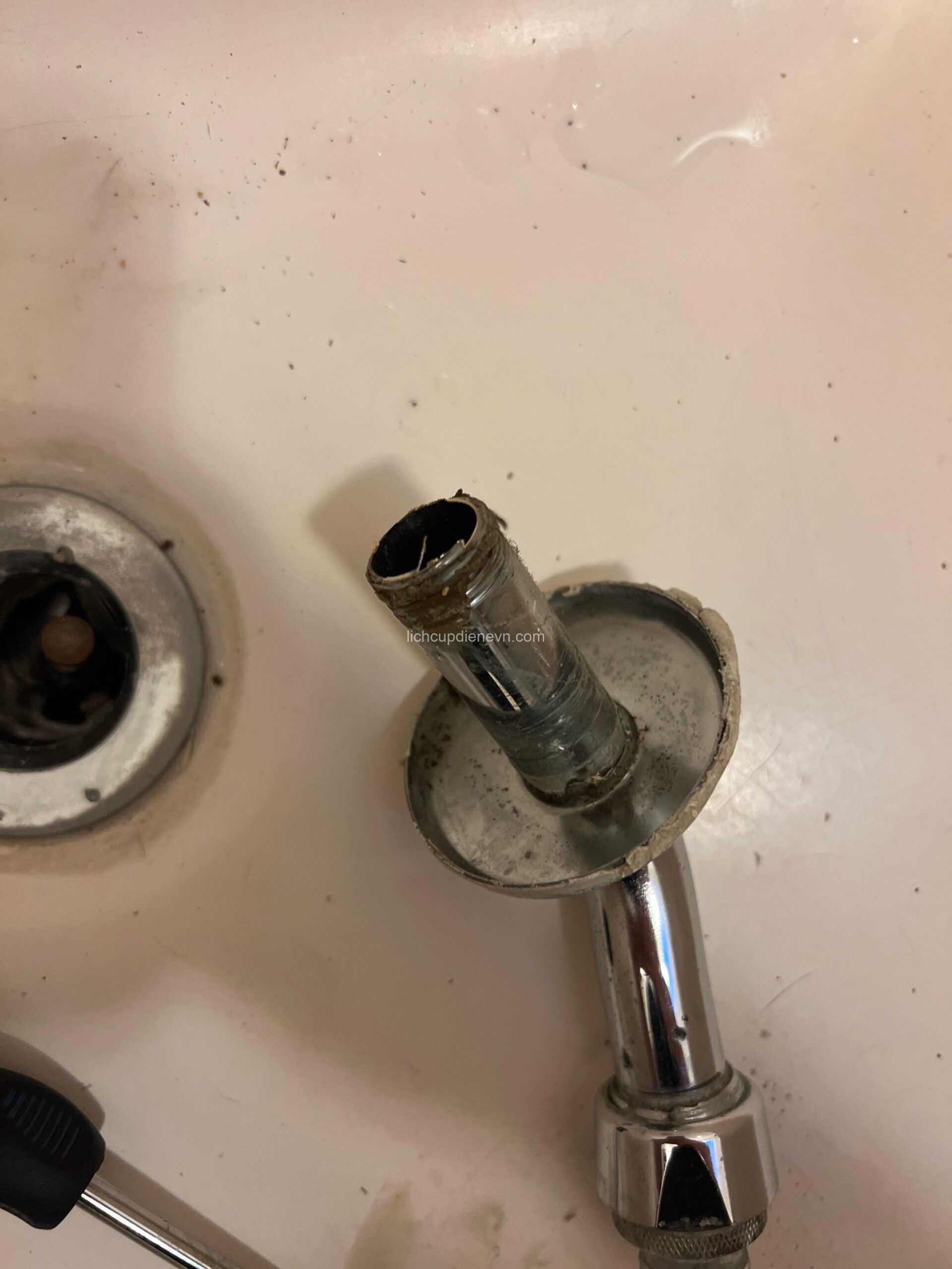 How to Replace a Broken Showerhead Arm: Step-by-Step Guide